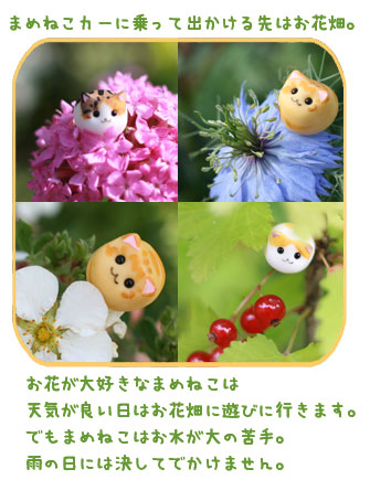 �܂߂˂��J�[�ɏ���Ă��Ԕ��ɂ��o����